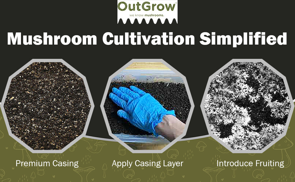 Mushroom Substrate Casing Soil (1 Pound Bag)