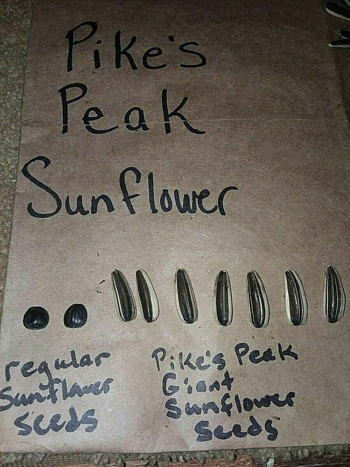 Pikes Peak Giant Sunflower Seeds