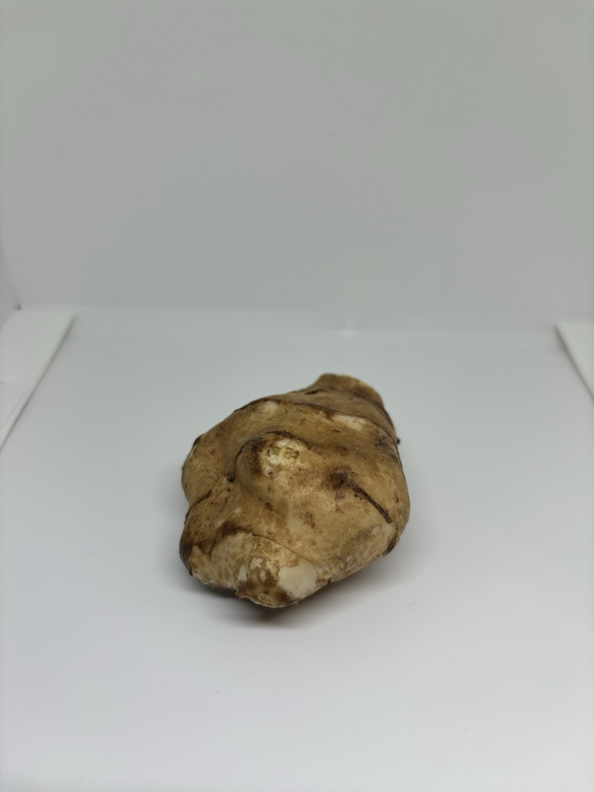 Organic Jerusalem artichoke Tubers 8oz .