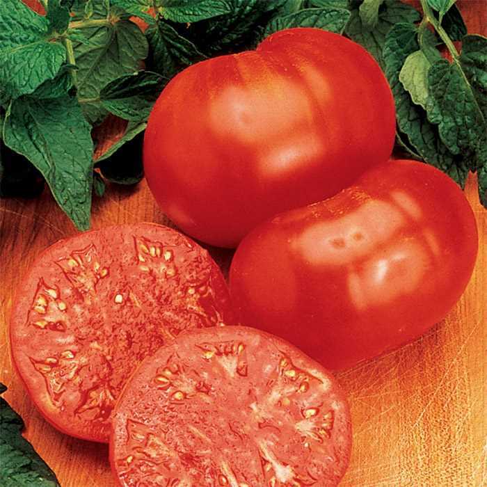 Ponderosa tomato seeds non-gmo heirloom open pollinated