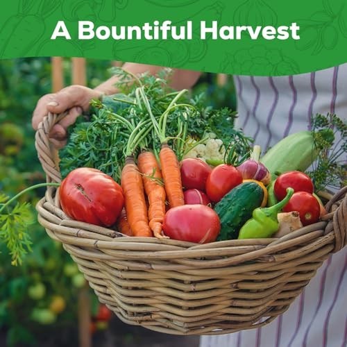 10 Vegetable Seeds Pack – Heirloom – Basil, Snap Pea, Broccoli, Bean, Jalapeo Pe