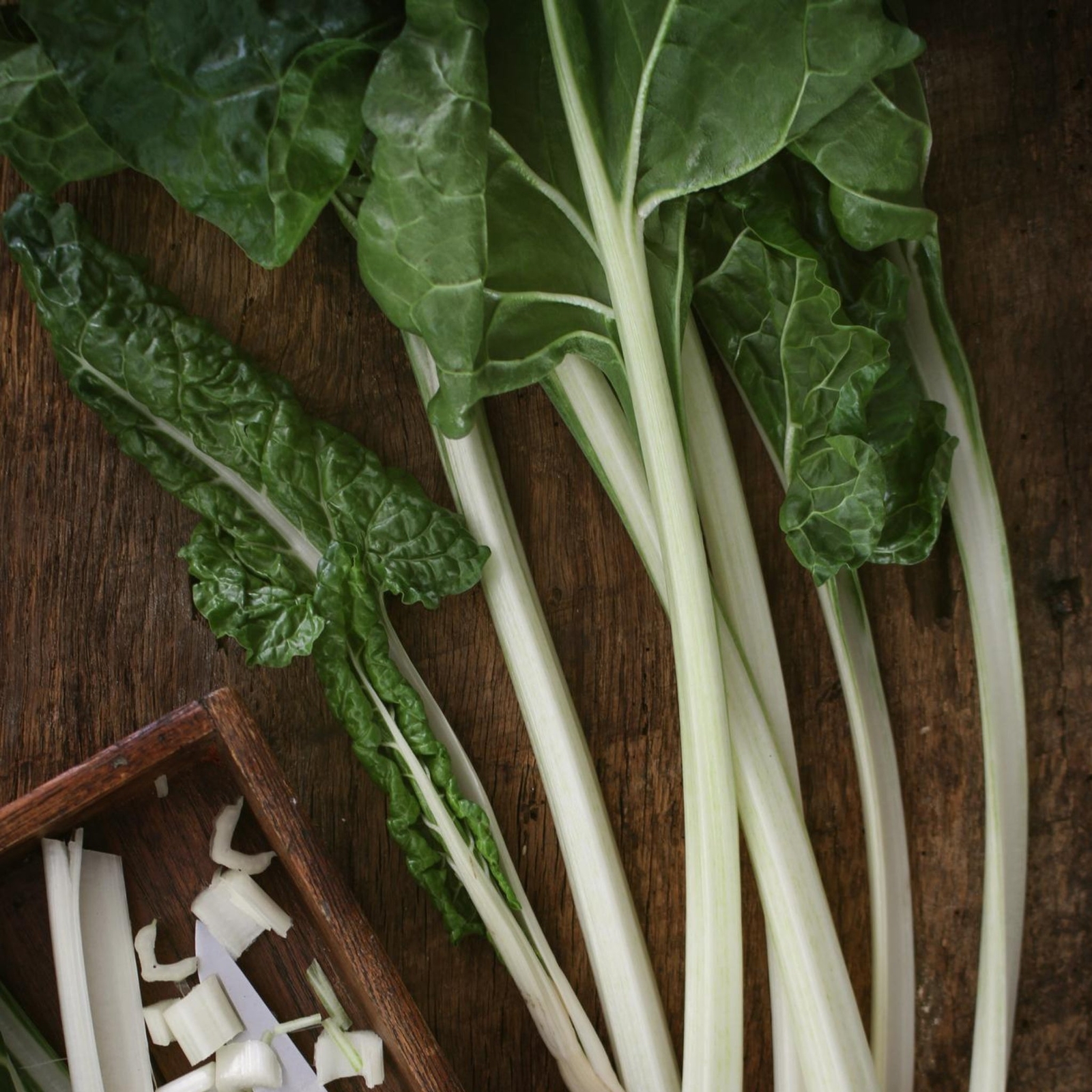 Swiss Chard – Large White – Seeds – Organic – Non Gmo – Heirloom Seeds