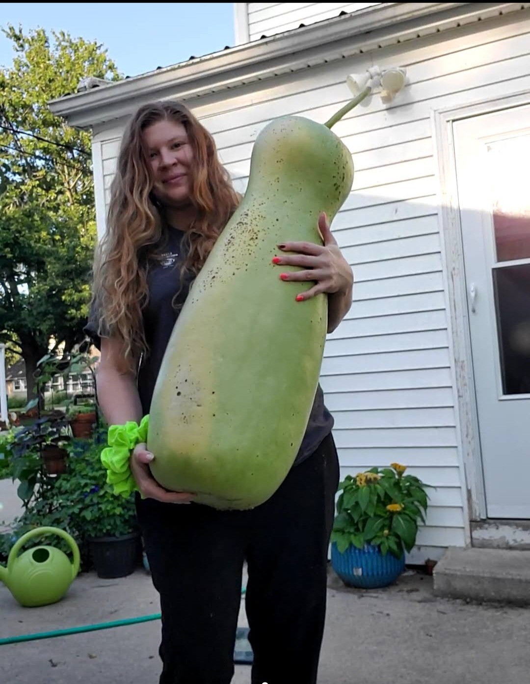 Giant Zucca Gourd Seeds