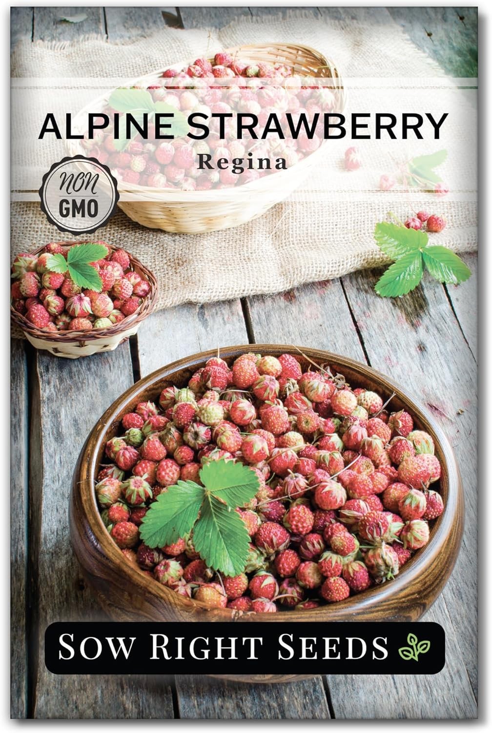 Sow Right Seeds – Regina Alpine Strawberry Seeds for Planting – Non-GMO Heirloom