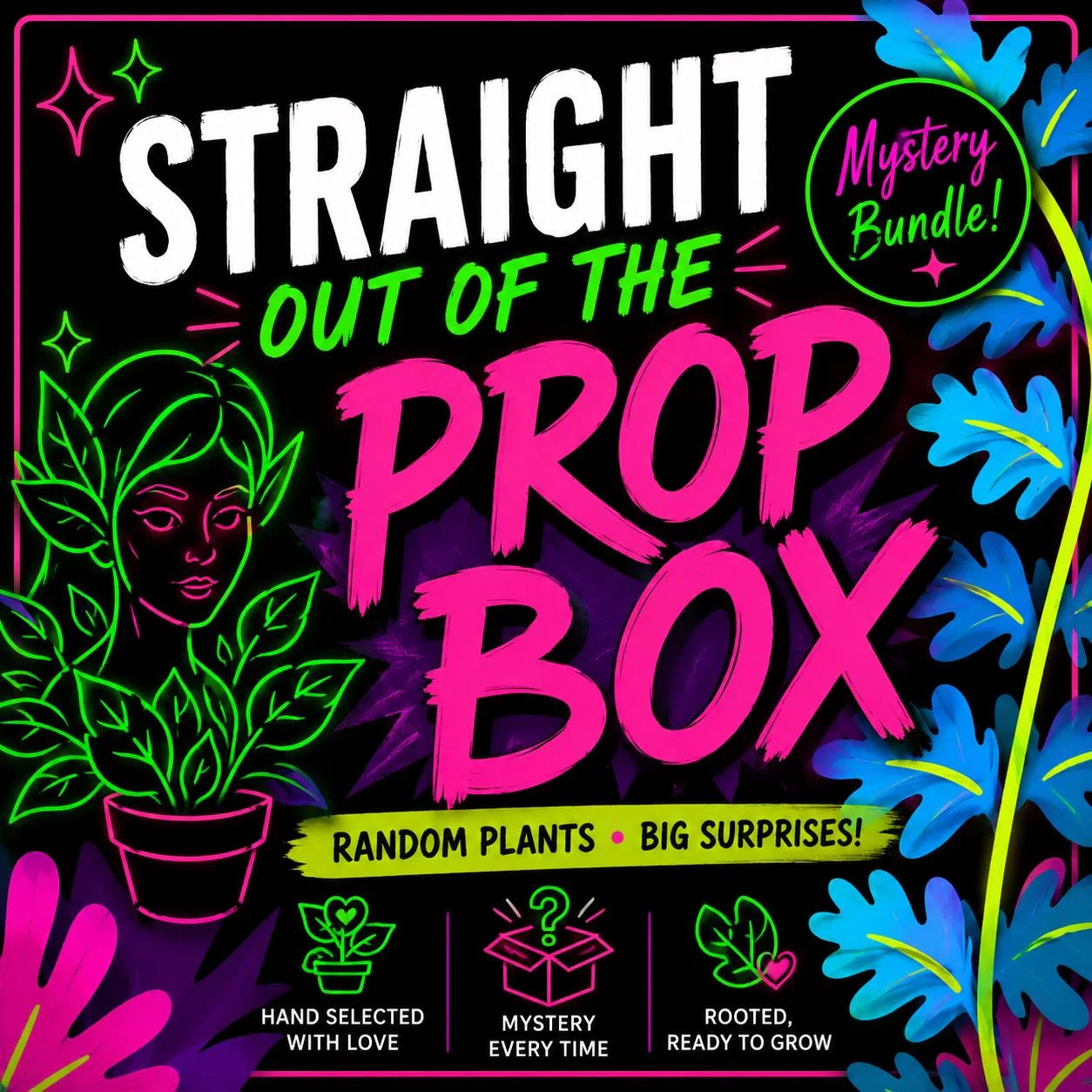 Straight Out Of The Propbox Mystery House Plant Bundle- 6 Plants
