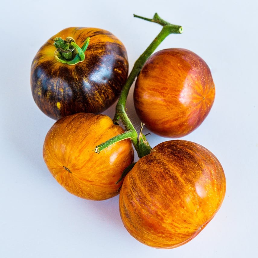 Alice’s Dream tomato 10 seeds Same Day Free Shipping in most cases