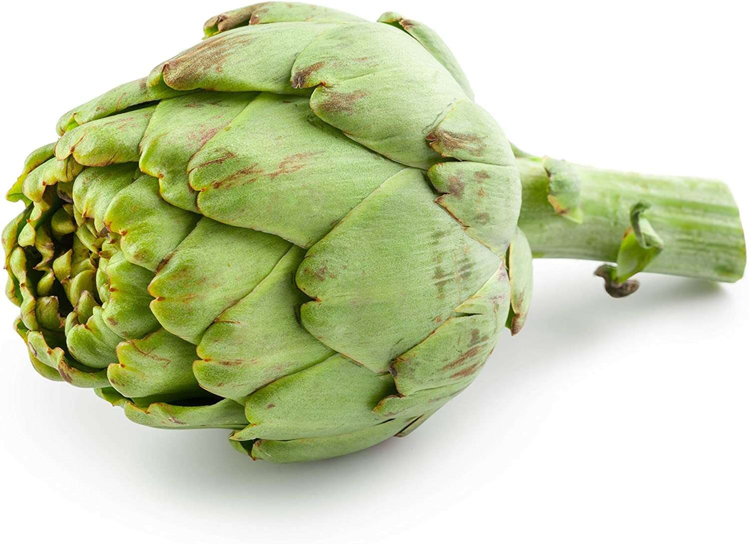 30 Exotic Globe Artichoke Seeds for Planting Rare Garden Vegetable