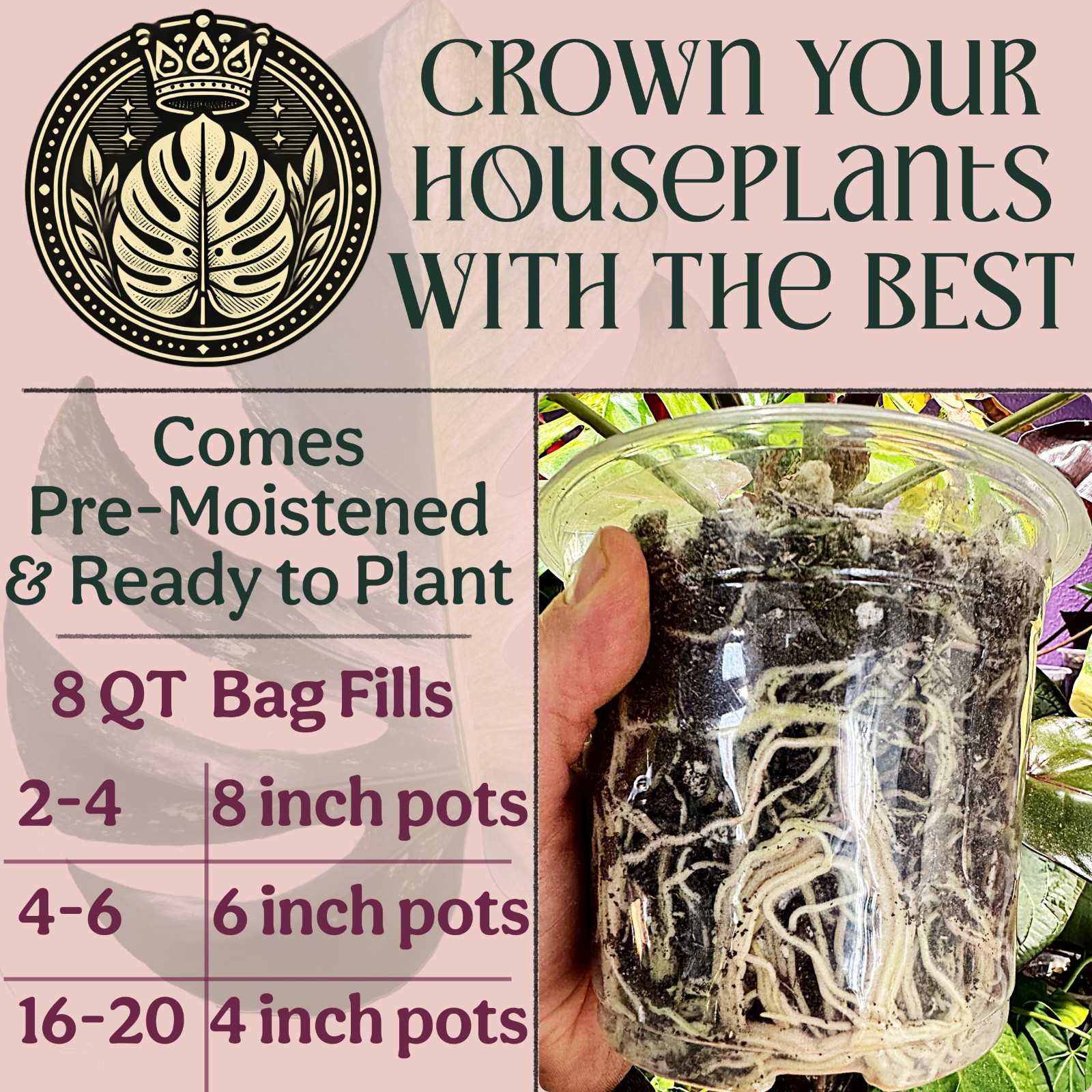 Organic Potting Mix for Indoor Plants – Well Draining, Chunky Soil, Peat Free, 8