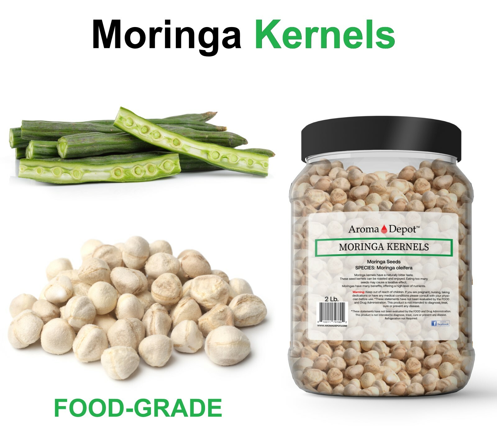 Moringa KERNELS 1 oz. Seeds oleifera Shelled 125 Semilla De Moringa Wholesale