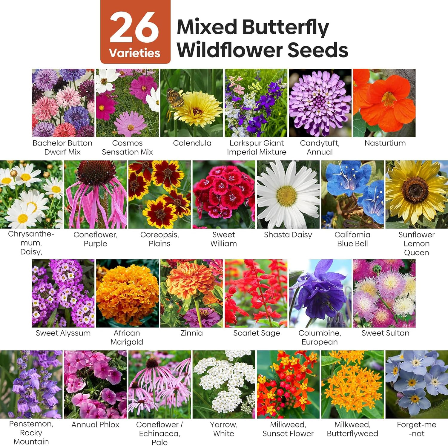 Wildflower Seeds Bulk, 4 Ounce, 100,000+ Seeds, 26 Varieties Annual & Perennial