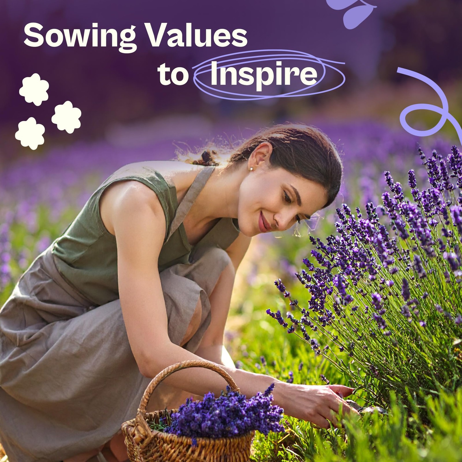 SVI 1500 English Lavender Seeds for Planting (Lavandula angustifolia) – Blue