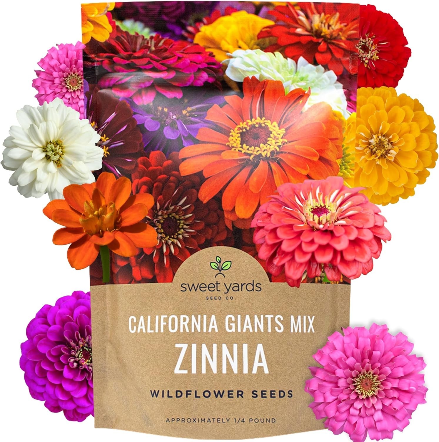 California Giants Zinnia Seeds – 1lb Bag – 48k Flowers