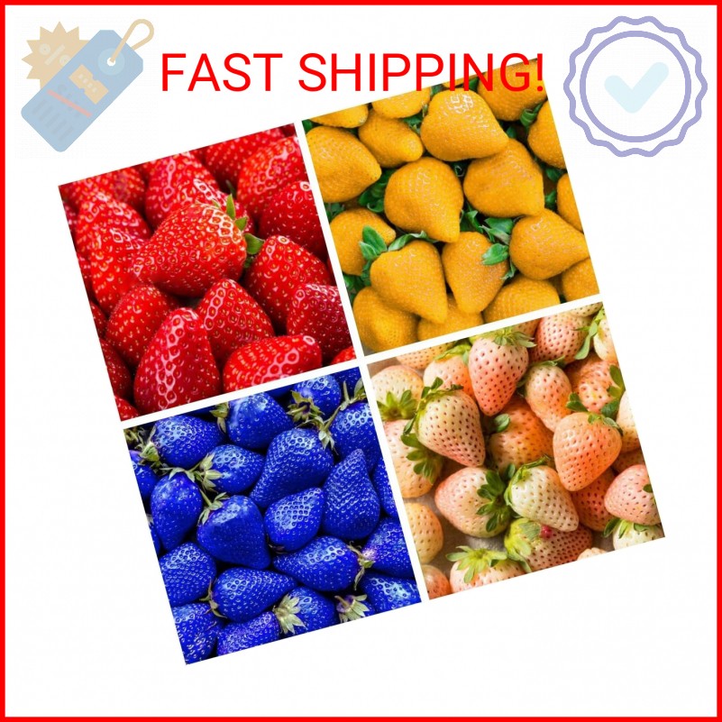 800 Mixed Strawberry Seeds – 4 Colors – Non-GMO Heirloom Perennial Seeds for Pla