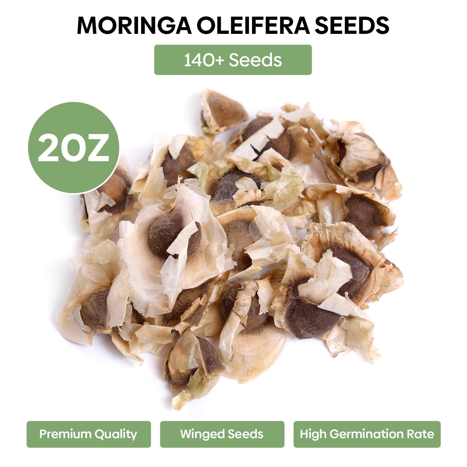 Moringa Seeds for Planting, 2oz, 140+ NonGMO Seeds, High Germination Rate