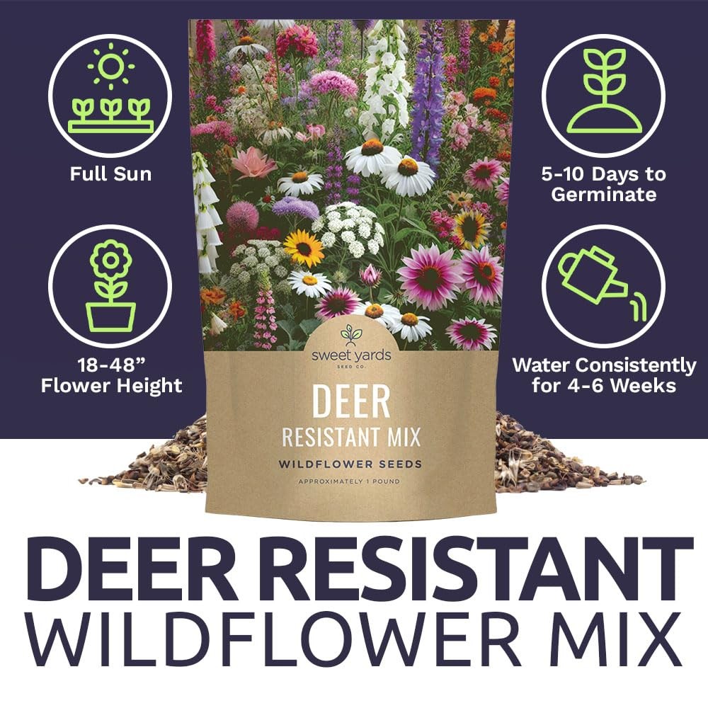 Deer Resistant Wildflower Seed Mixture – Bulk 1 Pound Bag – Over 240,000 Deer To