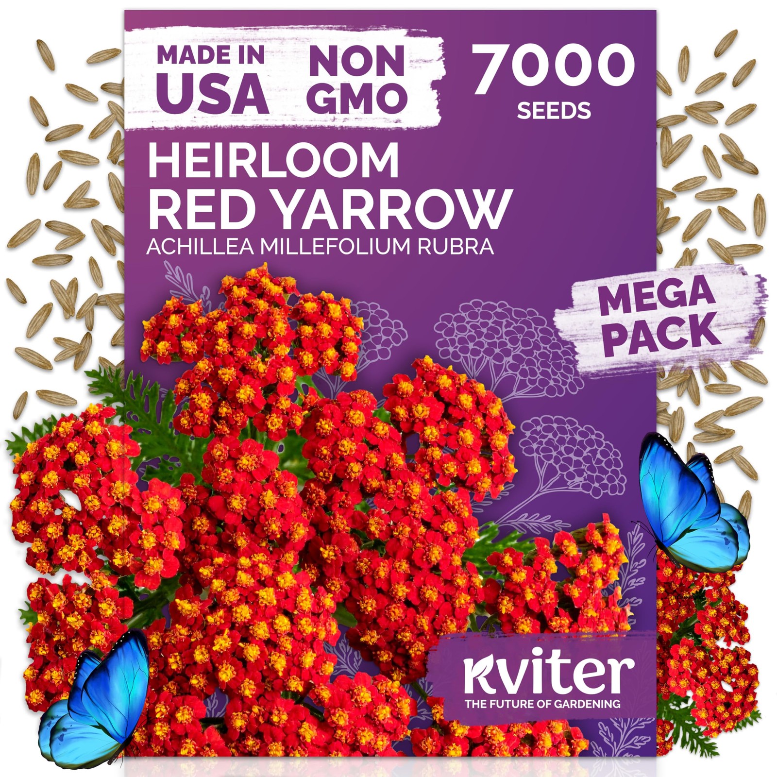 KVITER 7000 Red Yarrow Seeds (Achillea Millefolium Rubra)