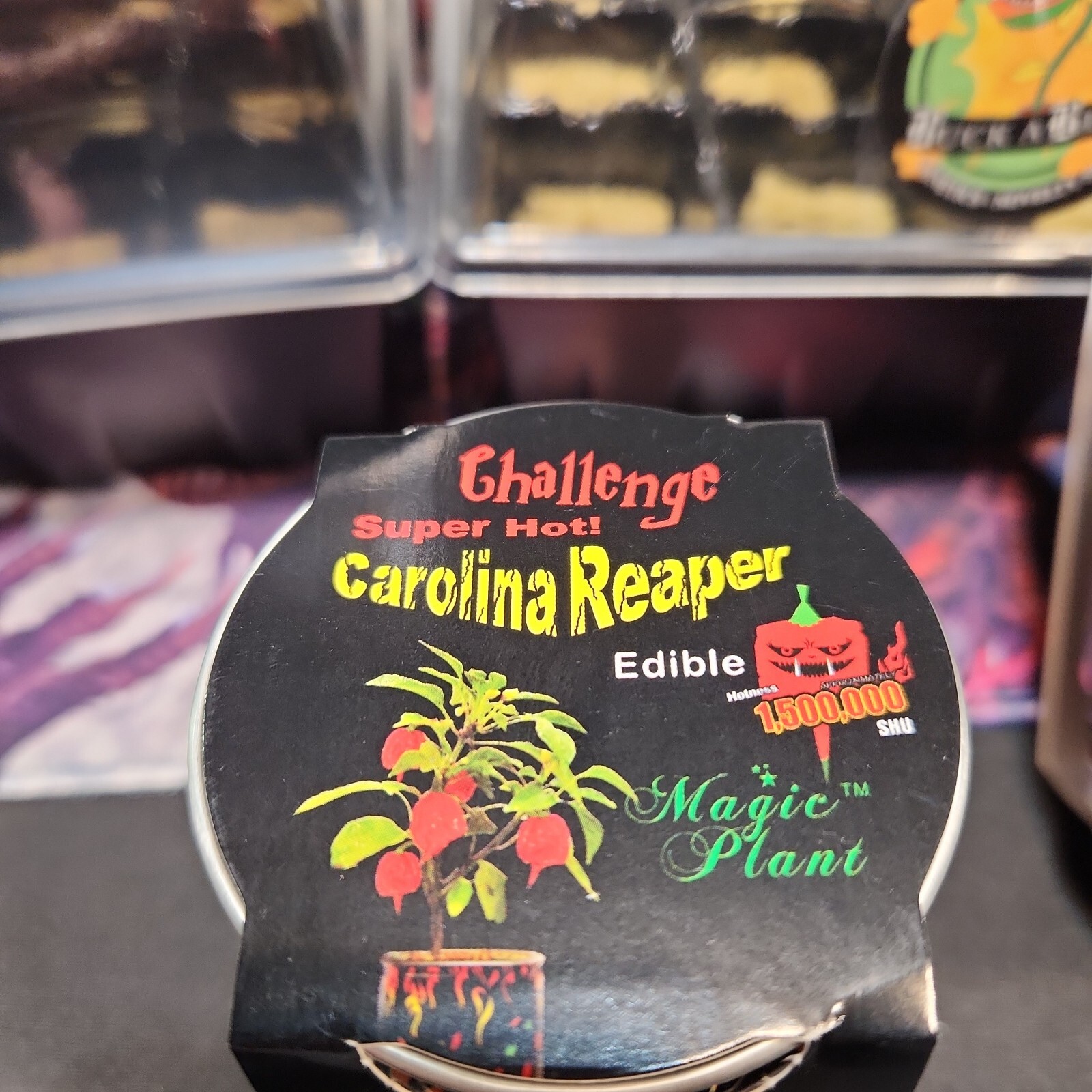 Carolina Reaper , Ghost Chili All Inclusive Growing Kit 2 Pack