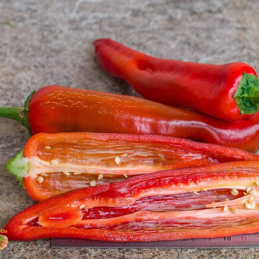Giant Red Marconi Sweet Pepper Seeds. Ten (10) Untreated Seeds. Free Shipping!
