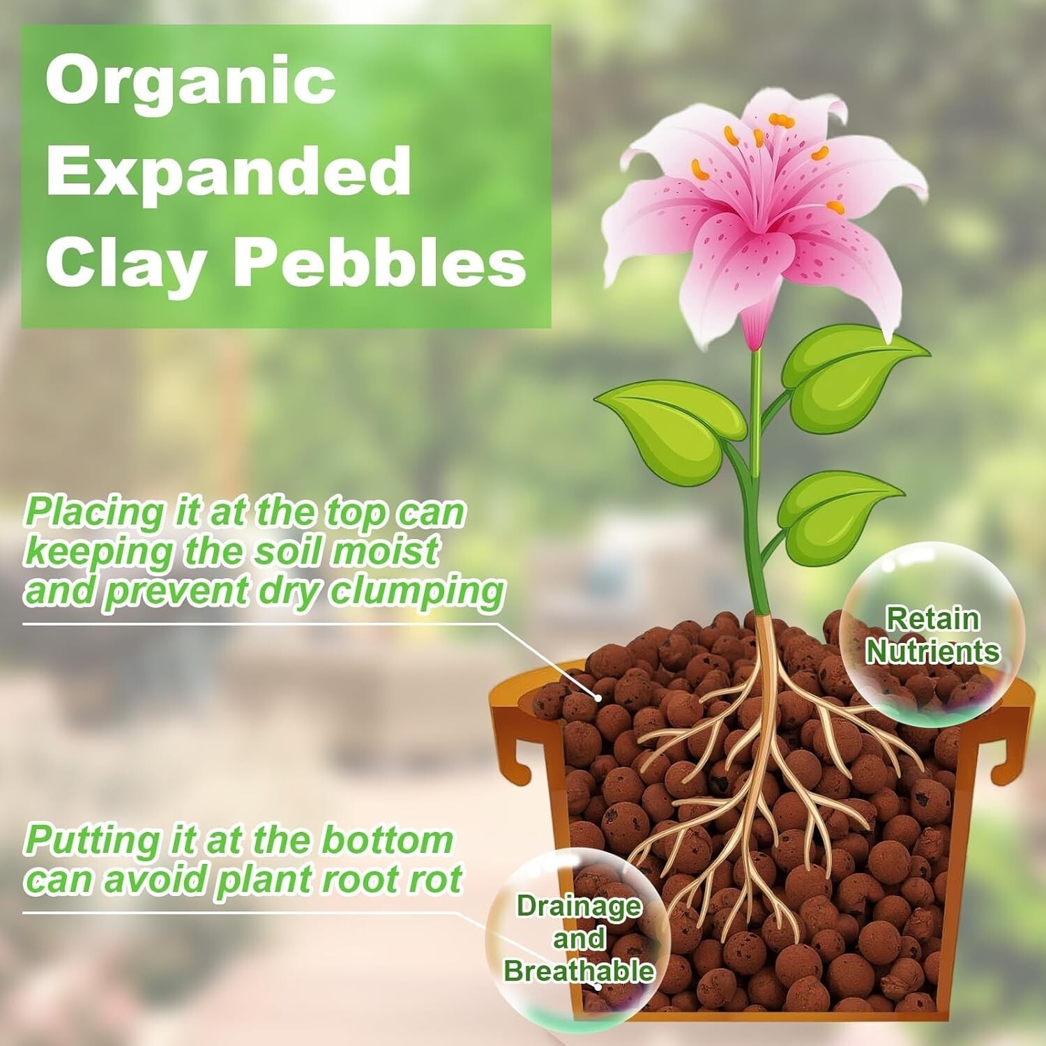 Organic Expanded Clay Pebbles 4mm16mm Lightweight Leca Balls for Plants