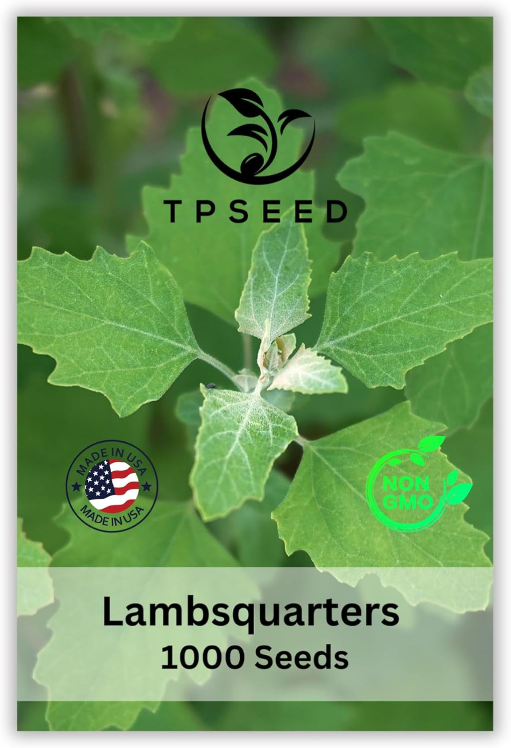 TP Seed Lambs Quarters Seed for Planting – Ideal for Medicinal Planting – Herb G