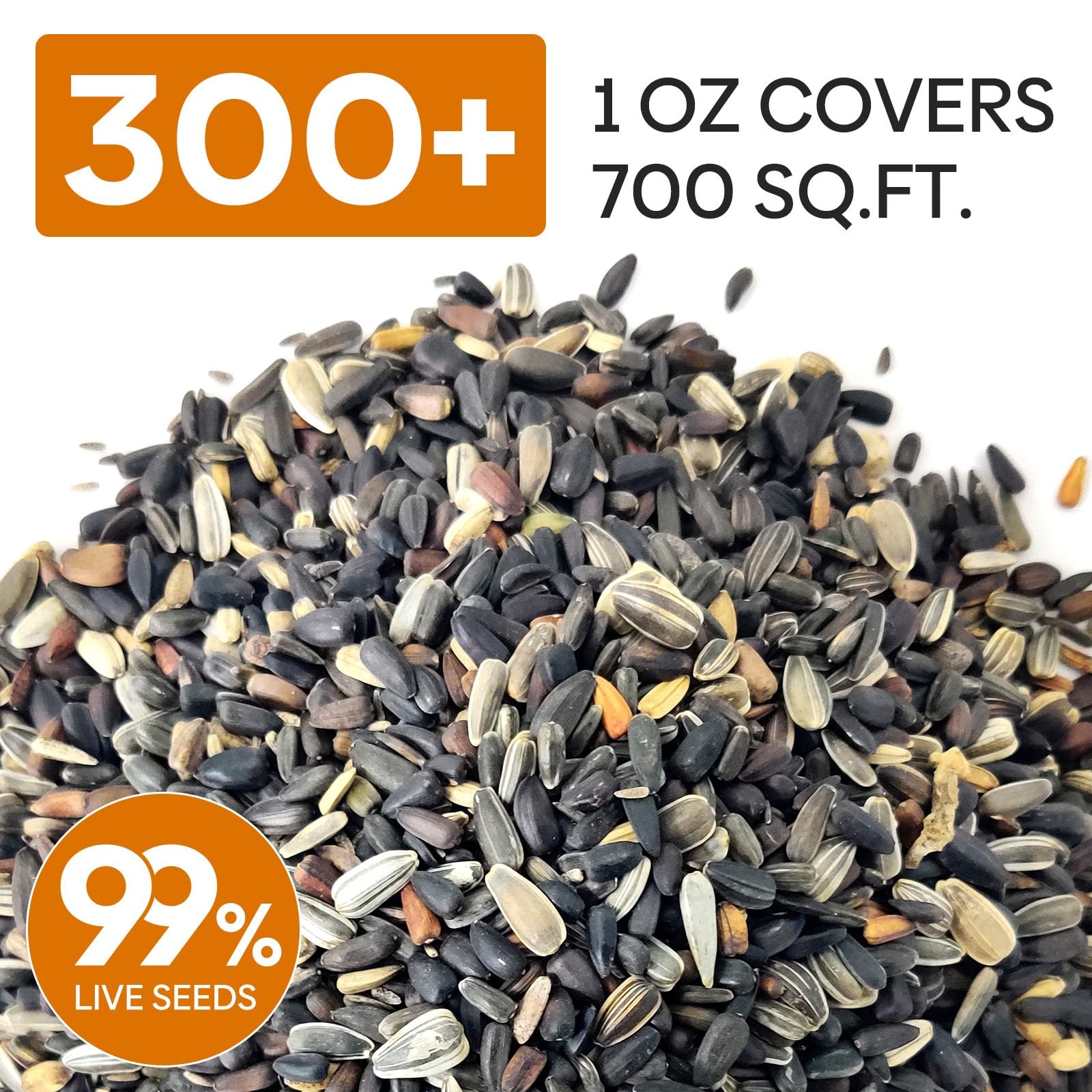 Sunflower Seeds for Planting Mixed Varieties Garden Pollinator / Semillas Giraso