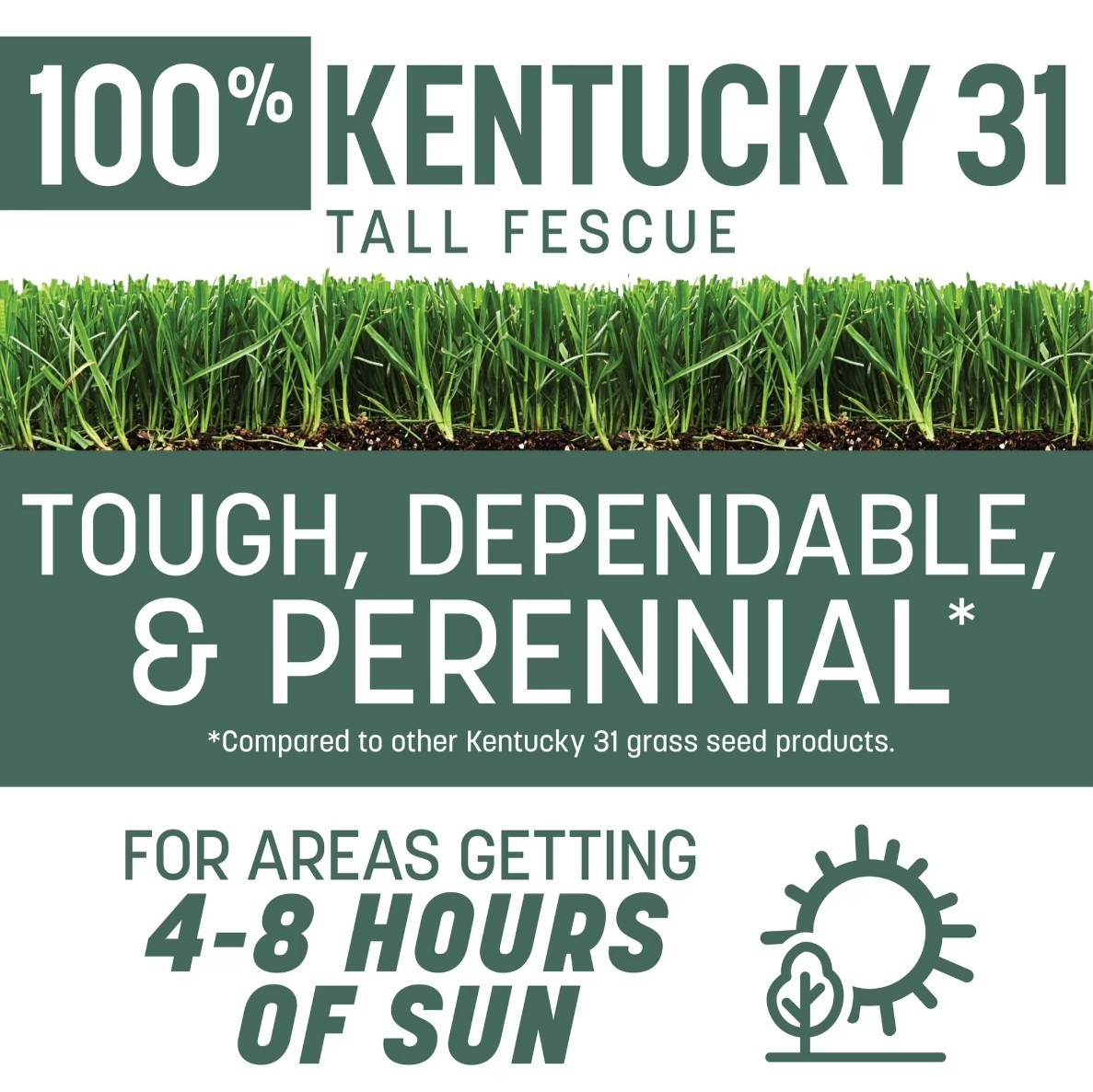 [FASH SALE]Pennington Kentucky 31 Tall Fescue Grass Seed Sun/Partial Shade 40 lb