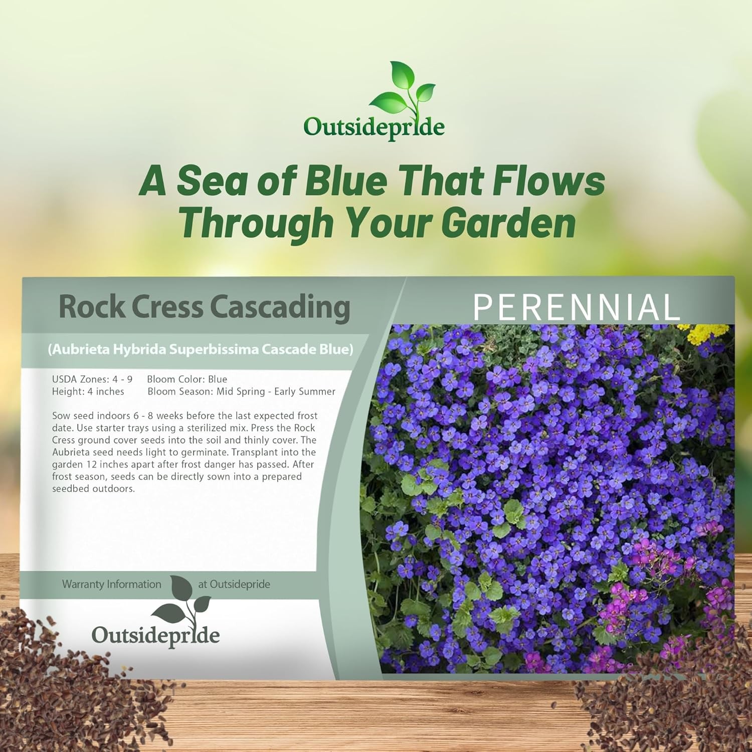 1000 Seeds Cascading Blue Rock Cress Seeds – Aubrieta Seeds Hybrida Ground