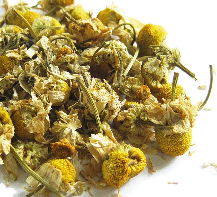 German Chamomile – ‘Matricaria chamomilla’, 300 seeds or Dry Herb, non GMO