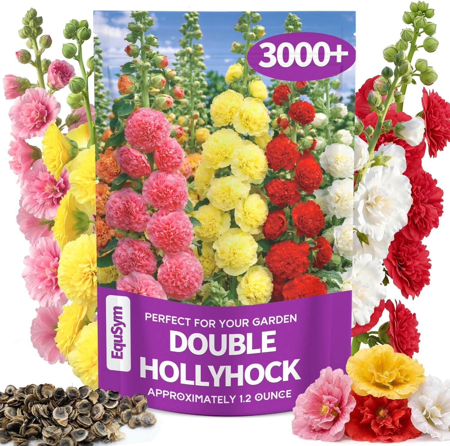 Large 3000+ Bulk Pack of Double Hollyhock Seeds – Spring to Fall Blooms