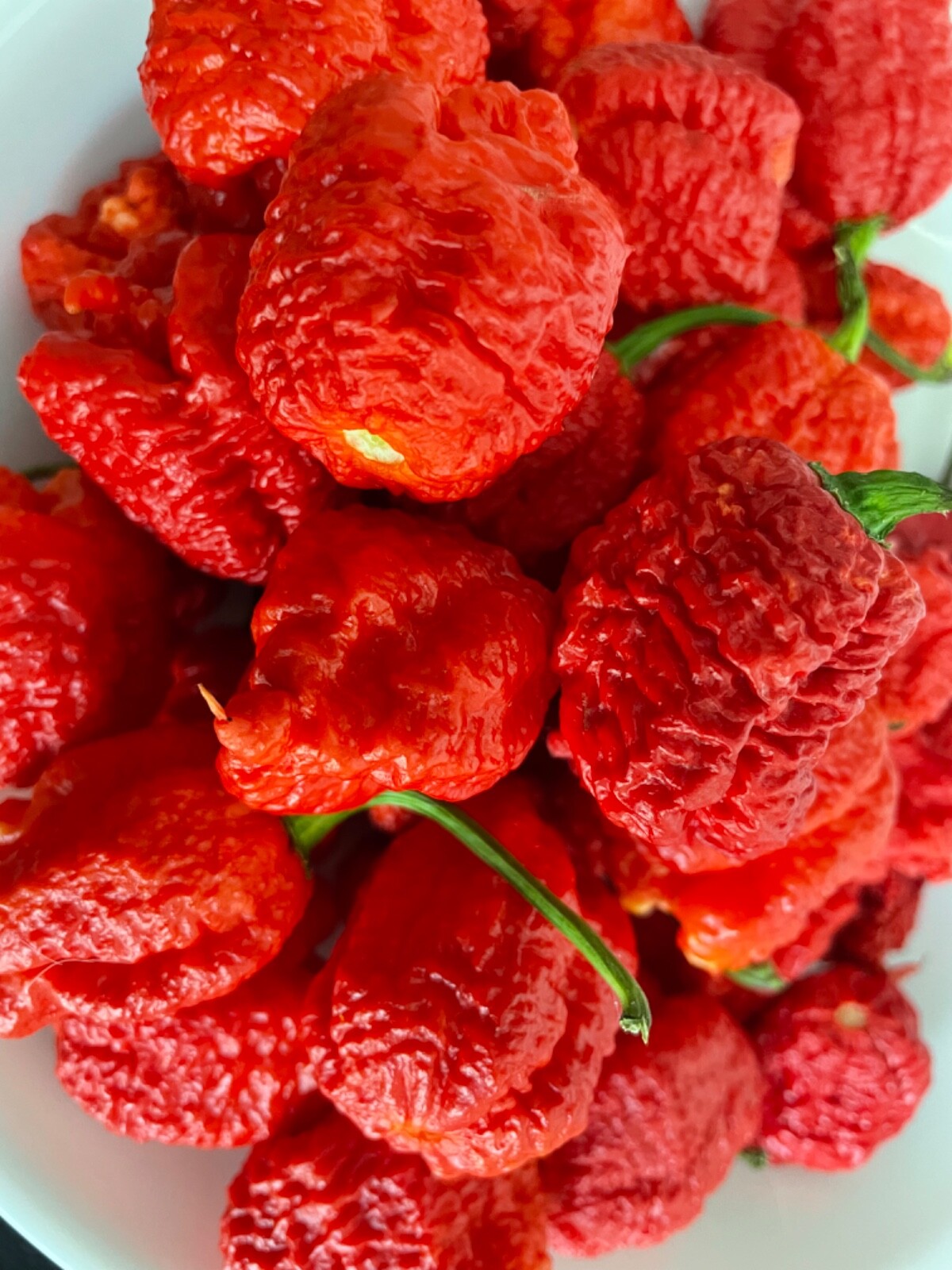 50+ Red Carolina Reaper Chili Pepper Seeds World Record Hot Peppers