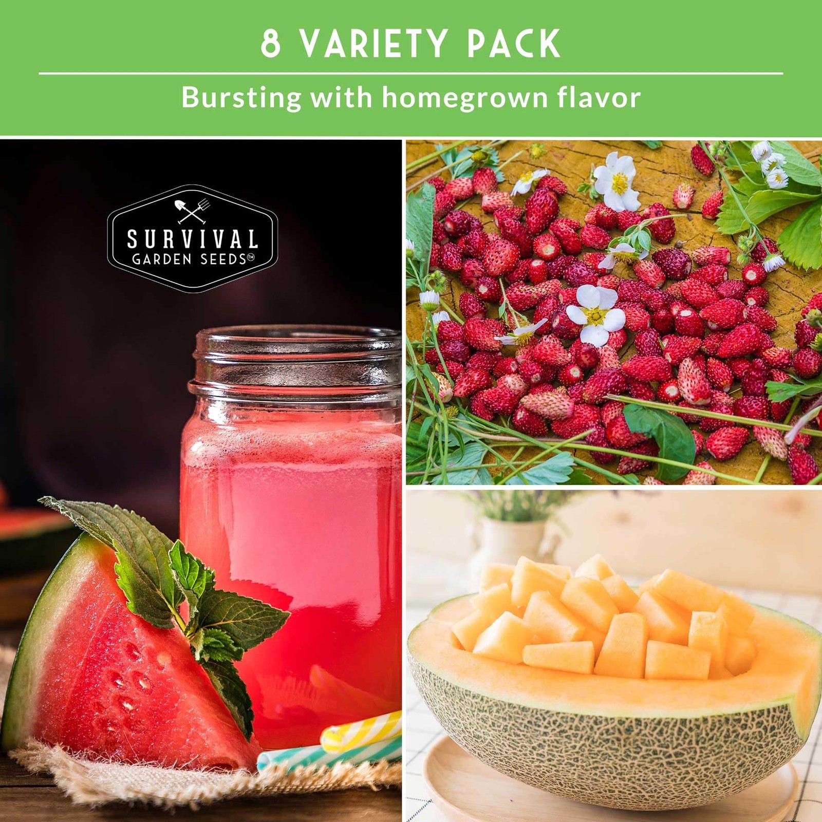 Fruit Seeds 8 Variety Pack Watermelon Cantaloupe Melon Strawberry Ground