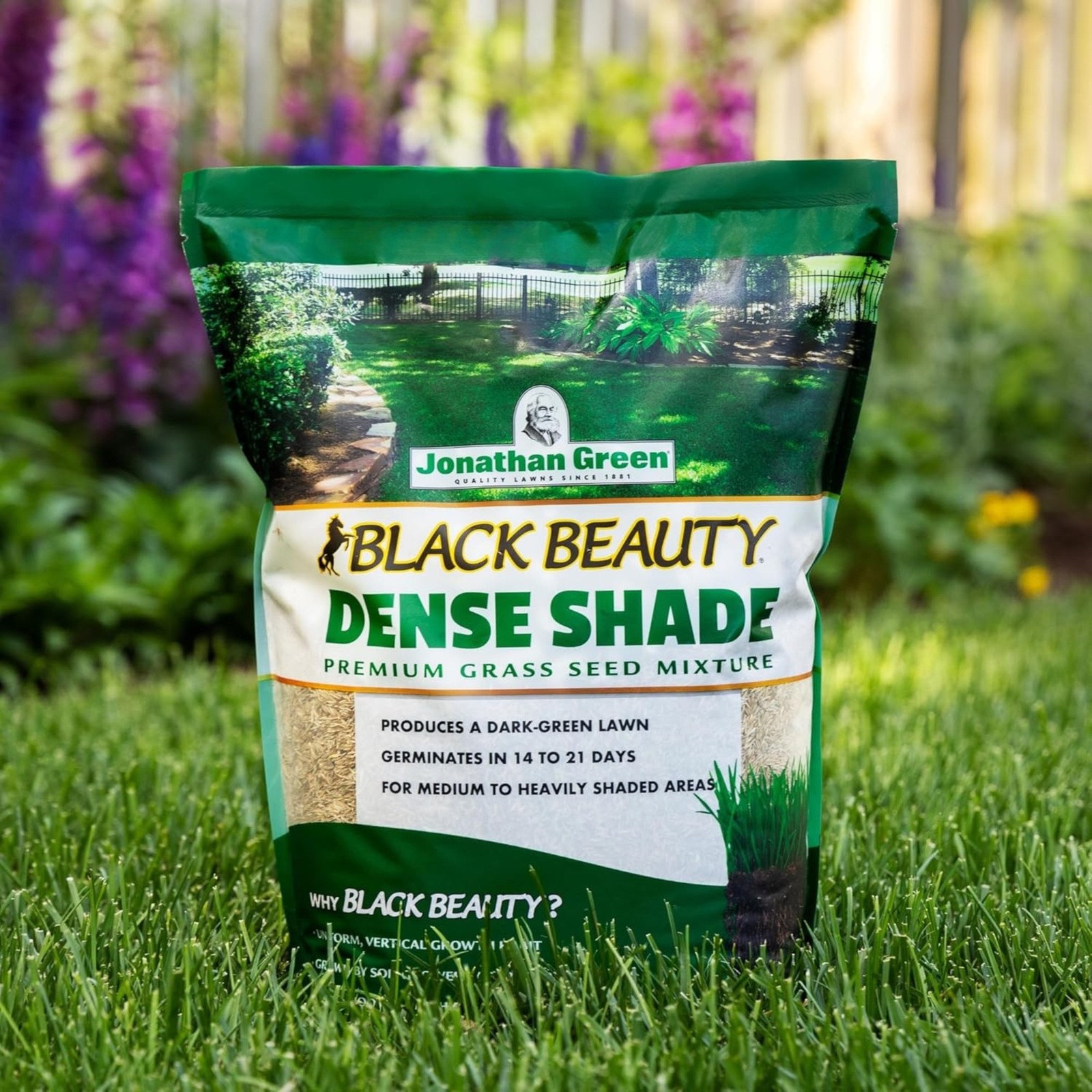 Jonathan Green (#10610) Black Beauty Dense Shade Grass Seed Mix, 25lb bag