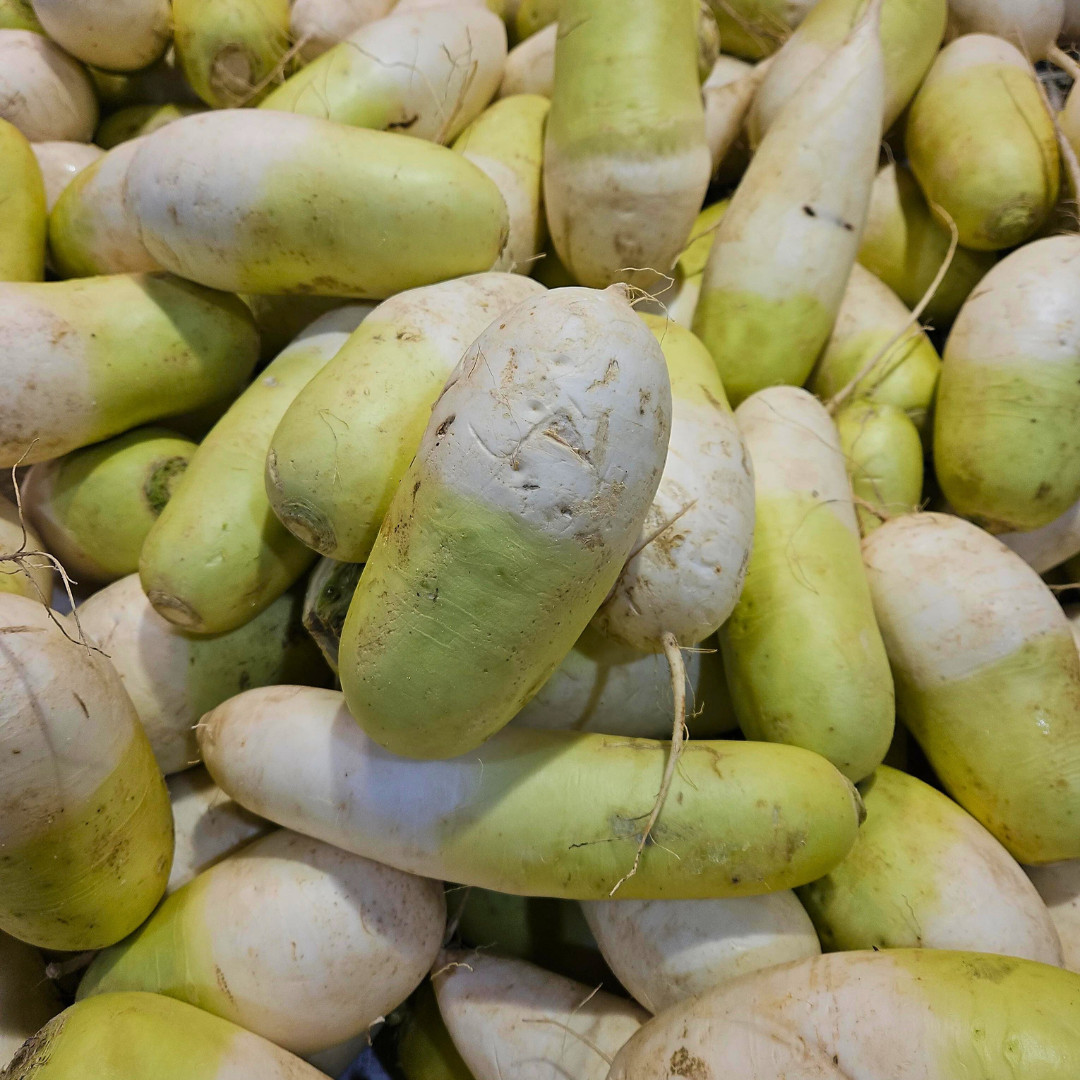 Fresh Korean Radish Seeds | Cheong Du | Heirloom | Non-GMO | Asian Vegetables