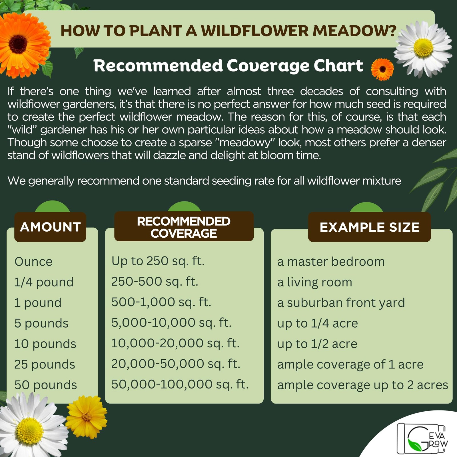 Perennial Wildflower Seed Mix 90,000+ Seeds for Easy Planting Anywhere