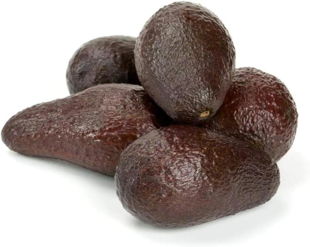 Live Avocado Plant Ready to Plant Healthy Fruit Tree Outdoor