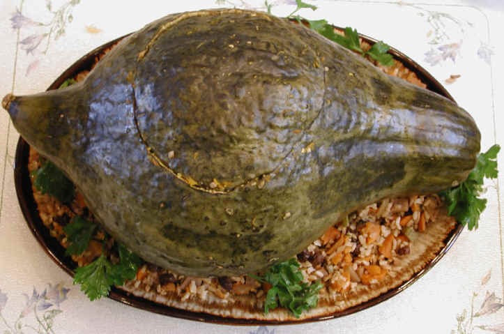 Blue Hubbard Squash Seeds | Gray Winter Jarradale Queensland Pumpkin Seed 2024