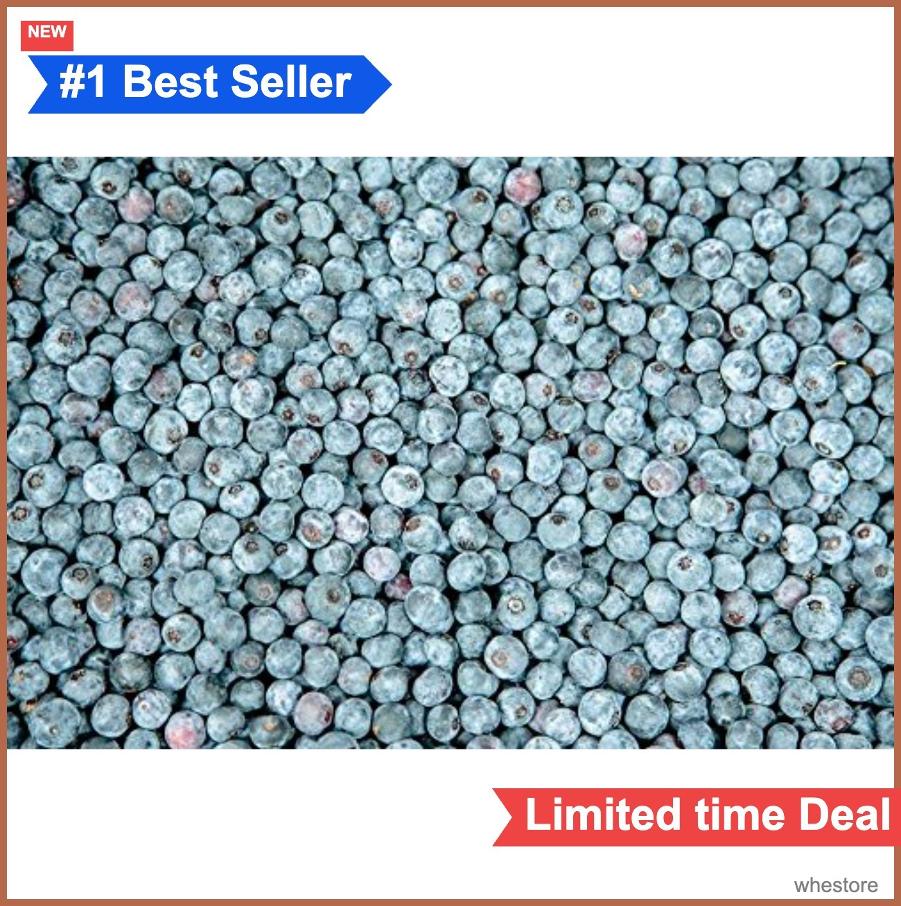 Blueberry Bush 3 Gallon Live Plant Tifblue Fruit Heavy Producer Full Sun