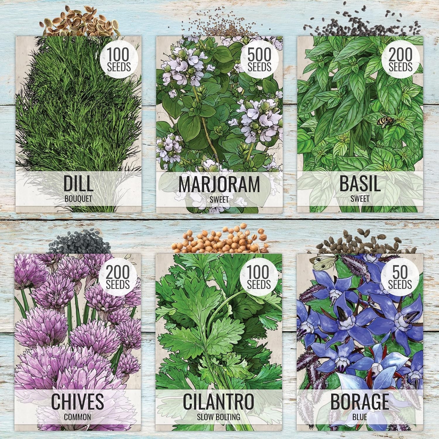 Seed Needs Herb Seeds Variety Pack Culinary Herb Collection (12 Individual Packe