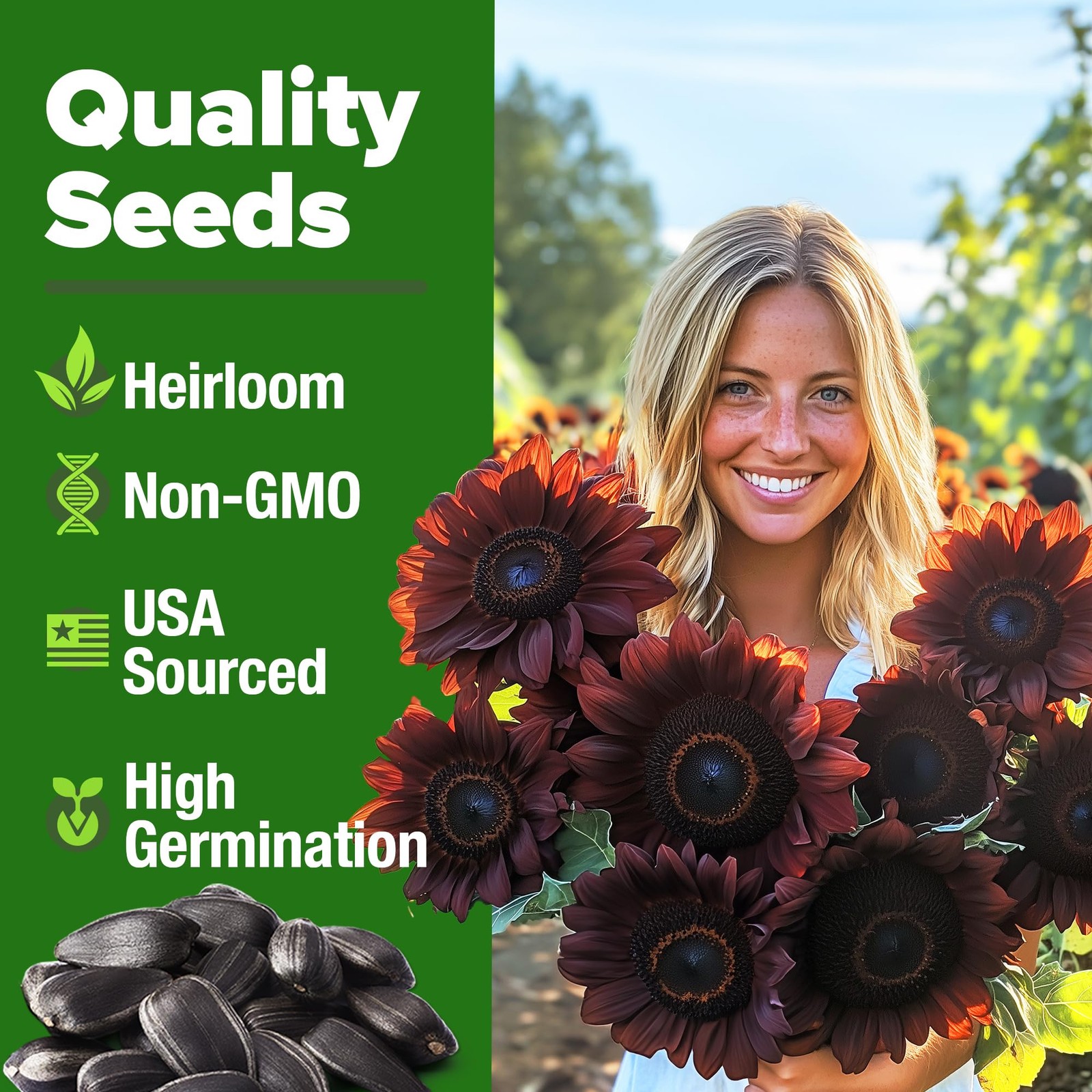 HOME GROWN Chocolate Cherry Sunflower Seeds 75 Heirloom Seeds for Planting Bu…