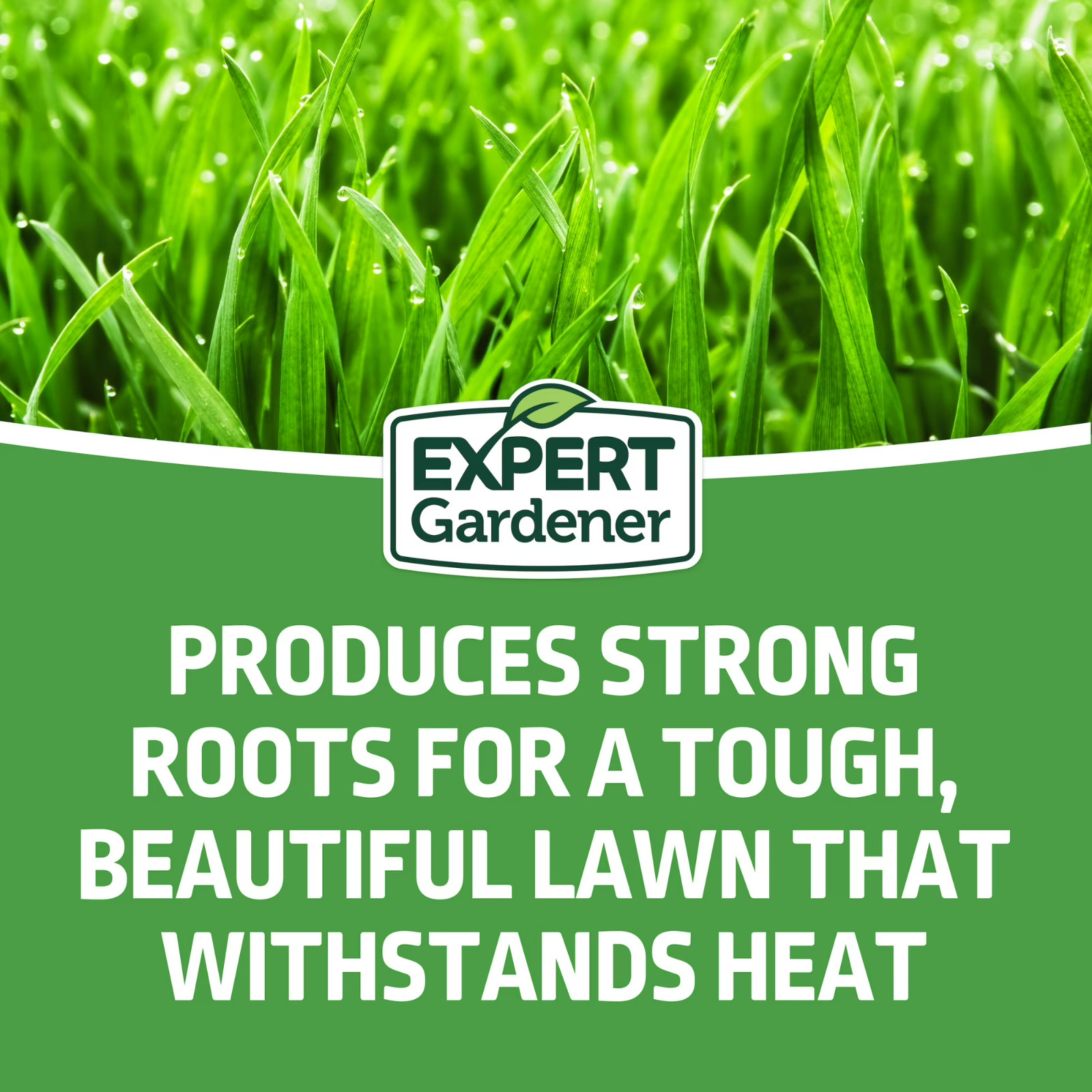 Expert Gardener Tall Fescue Grass Seed Mix, for Sun to Partial Shade, 20 lb.