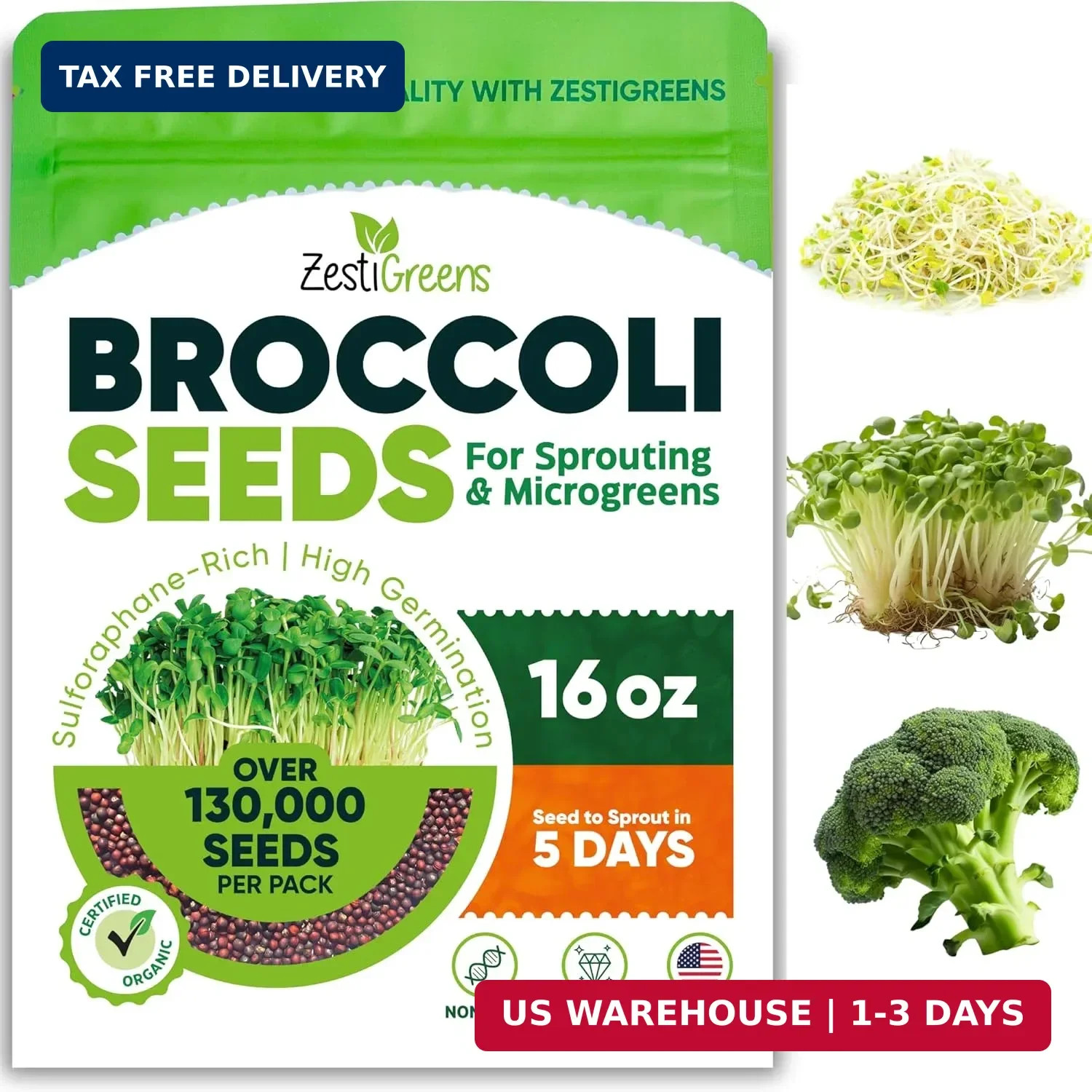 Broccoli Sprouting & Microgreens Seeds x 1 lb. Organic, Non-GMO, Heirloom Sprout