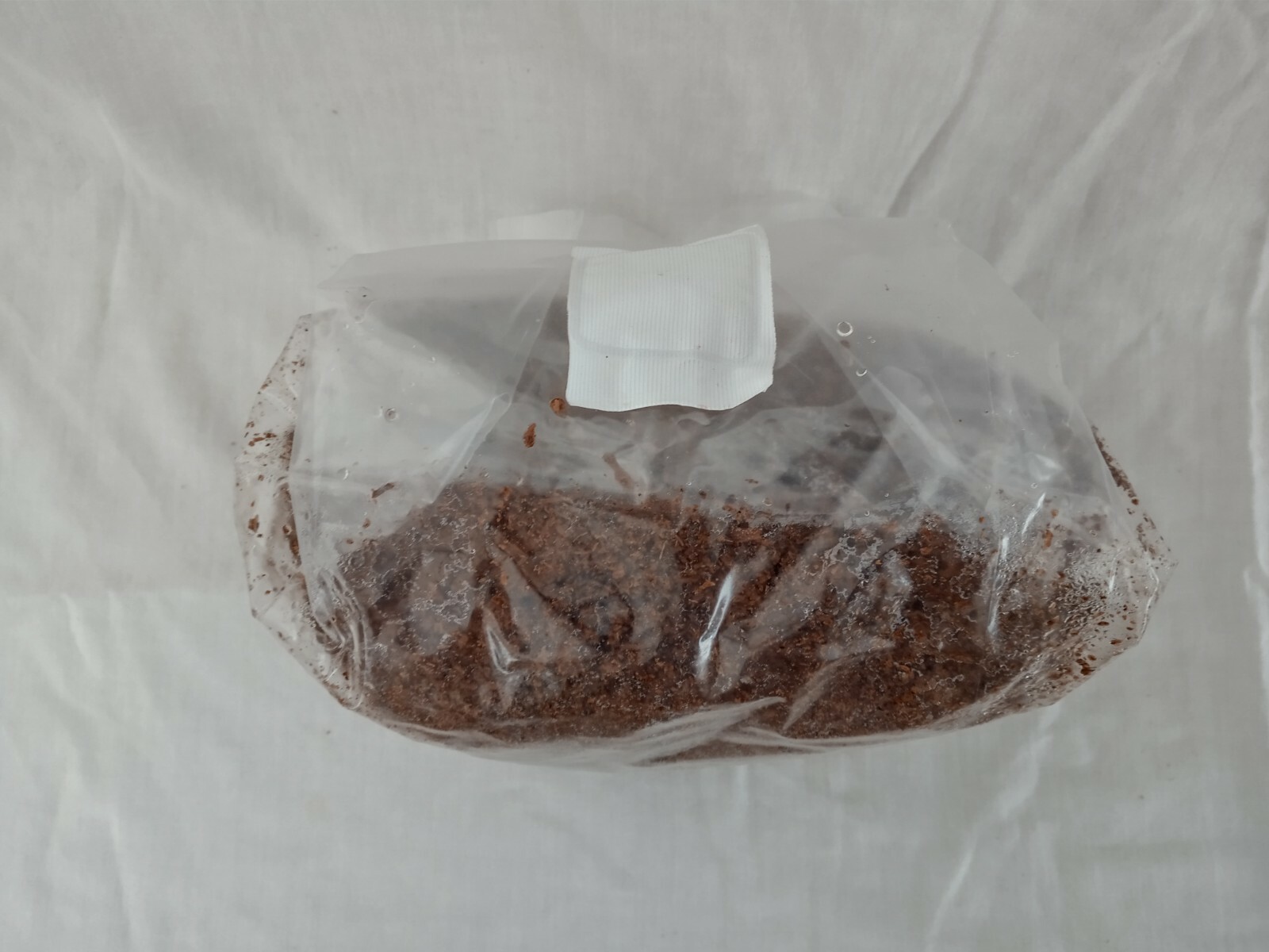 All in One Mushroom Grow Bag Sterilized 3 lb GROWING BIO-BAG KIT FAST SHIP [A]