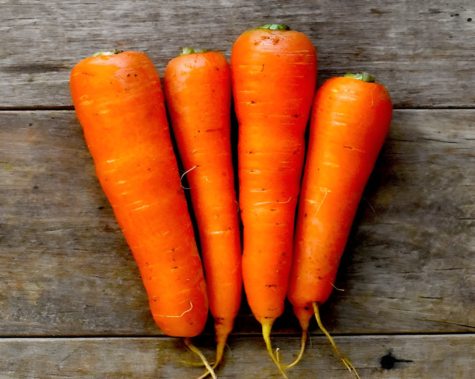 1,000 Kuroda Long Carrot Seeds – NonGMO Organic – 8 Inch Giant Hearty Carrots