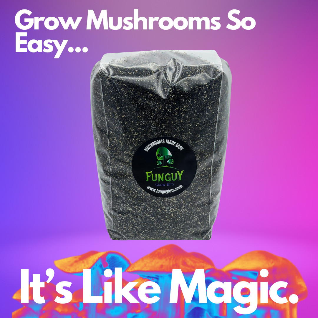 Mushroom Growing Premium Pasteurized Substrate Bag Grow Like Magic