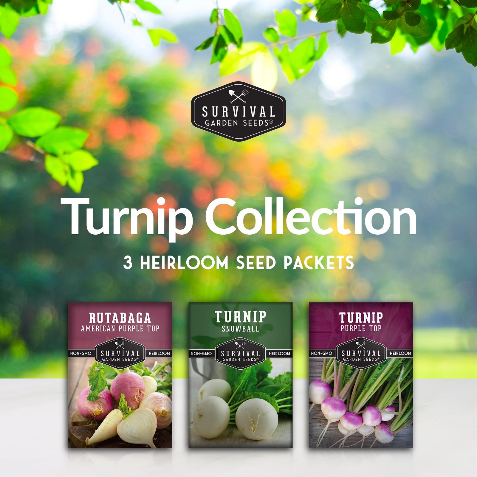 Turnip & Rutabaga Seeds Collection – 3 Varieties for Fall & Spring Multicolor