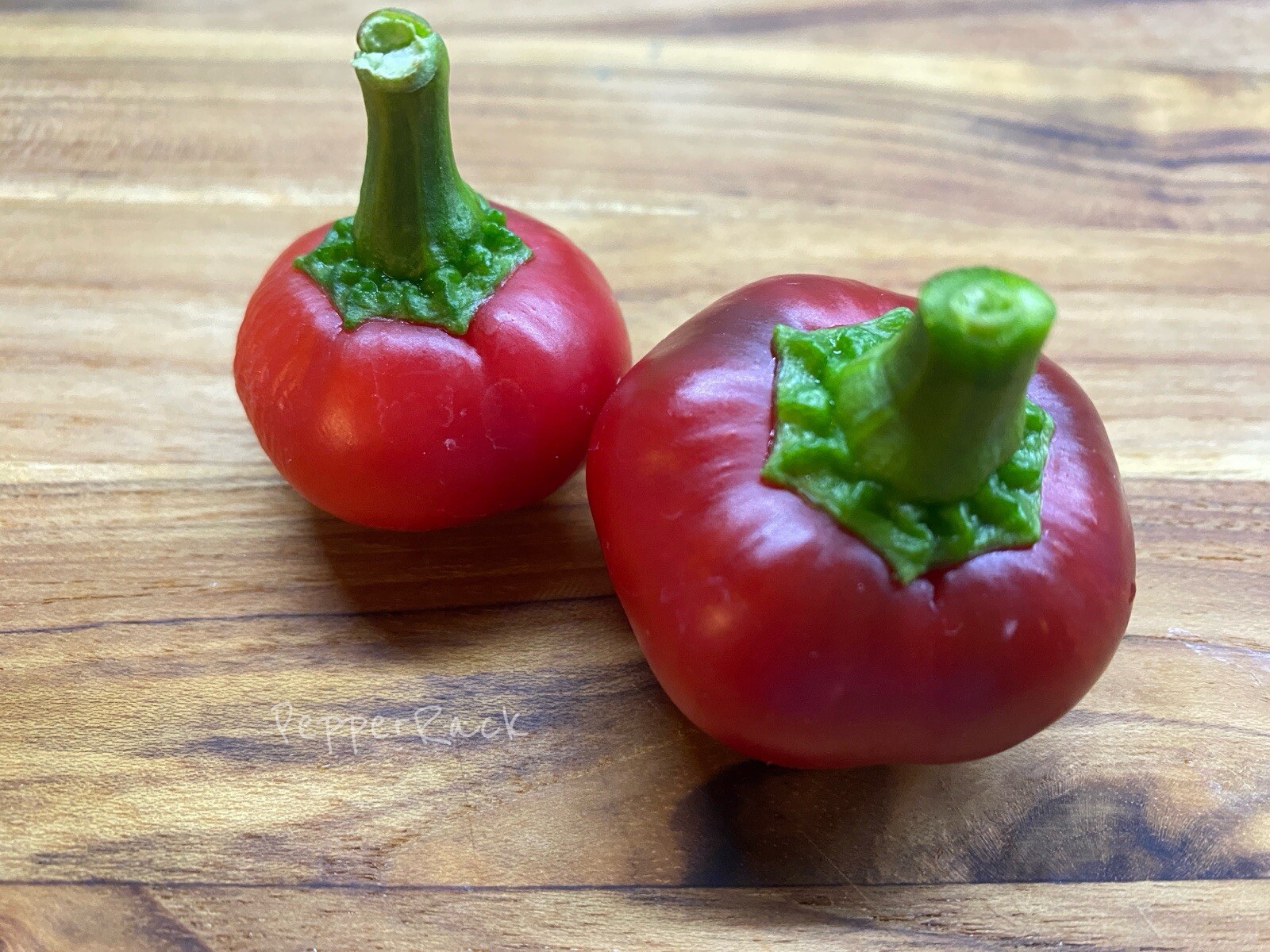 RARE✿ Heirloom Red Cherry Hot Pepper 15 Seeds ●Unique Shape