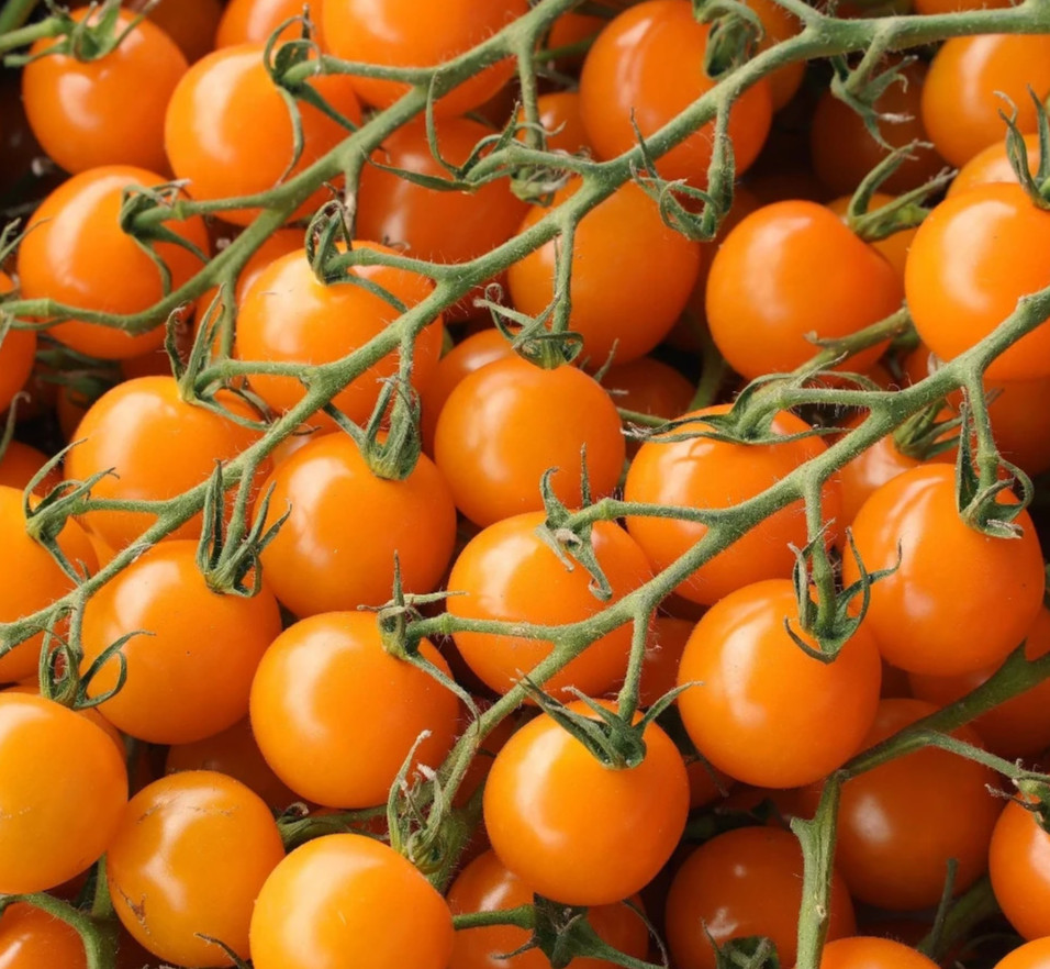 ORANGE CHERRY TOMATO SEEDS 100+ garden VEGETABLE lycopersicon ESCULENTUM