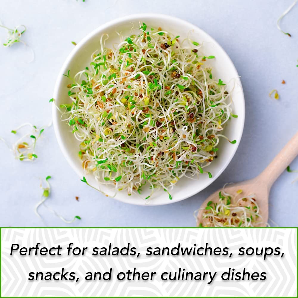 Tradeking Usda Organic Alfalfa Sprouting Seeds 1 Pound Perfect For Sprouting