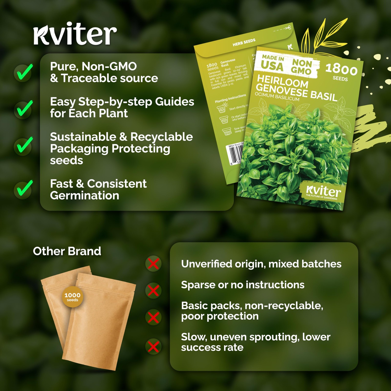 KVITER 1800 Genovese Basil Seeds for Planting (Ocimum basilicum)