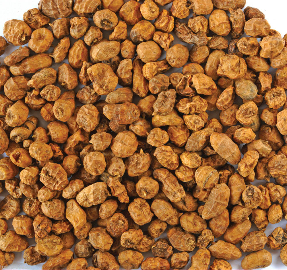 Seed Ranch Chufa Seeds ” Excellent Turkey Or Deer Wildlife Food Plot ” 50 Lbs.